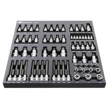 Ingersoll-Rand 66 Piece Master Torx and Specialty Bit Socket Set 752003